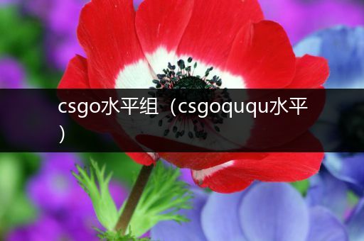 csgo水平组（csgoququ水平）