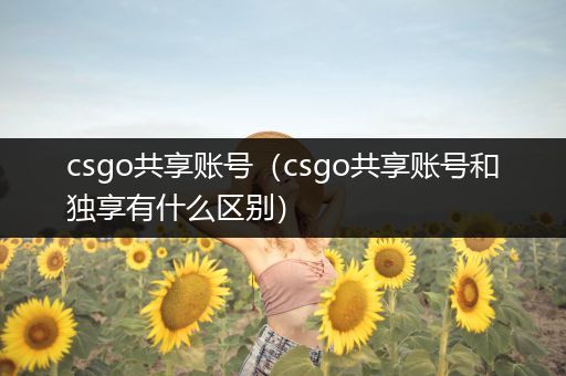 csgo共享账号（csgo共享账号和独享有什么区别）