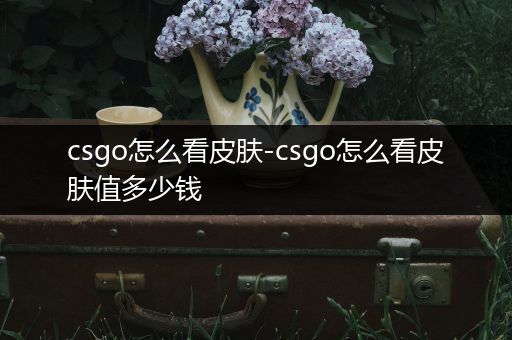 csgo怎么看皮肤-csgo怎么看皮肤值多少钱