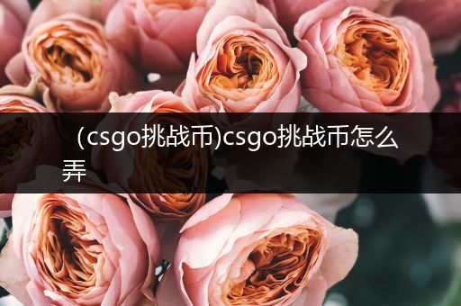 （csgo挑战币)csgo挑战币怎么弄