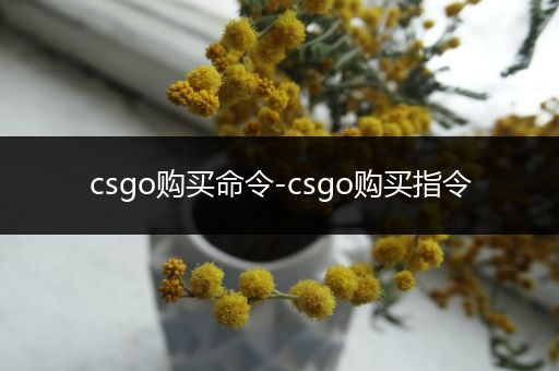 csgo购买命令-csgo购买指令