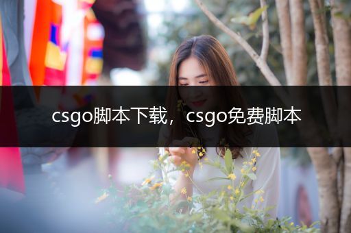 csgo脚本下载，csgo免费脚本