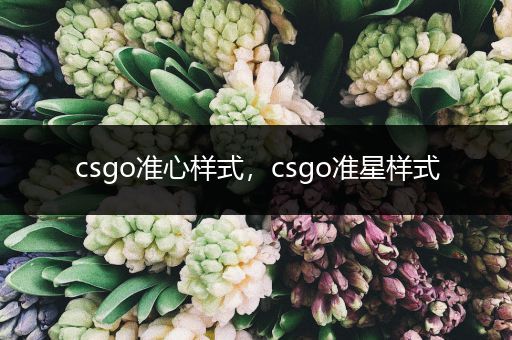 csgo准心样式，csgo准星样式