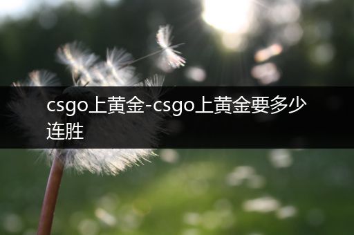 csgo上黄金-csgo上黄金要多少连胜