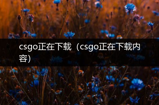 csgo正在下载（csgo正在下载内容）