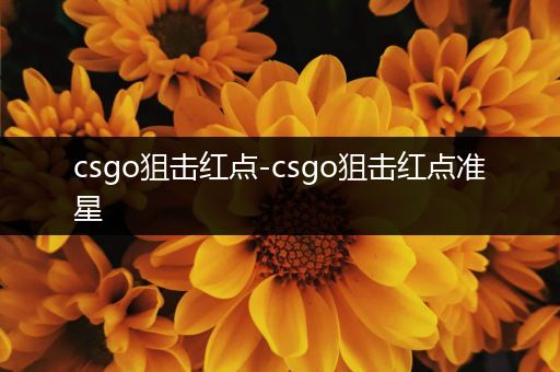 csgo狙击红点-csgo狙击红点准星