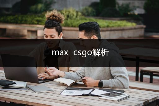 max  csgo解析