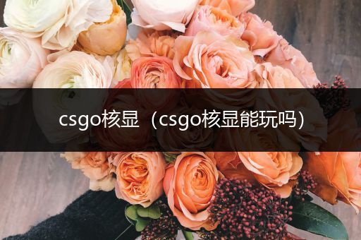 csgo核显（csgo核显能玩吗）