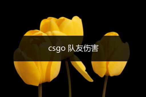 csgo 队友伤害