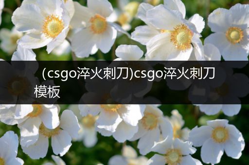 （csgo淬火刺刀)csgo淬火刺刀模板