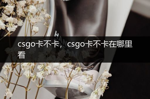 csgo卡不卡，csgo卡不卡在哪里看