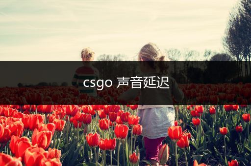 csgo 声音延迟