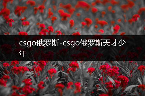 csgo俄罗斯-csgo俄罗斯天才少年