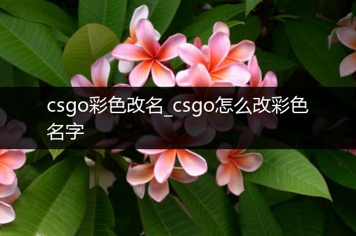 csgo彩色改名_csgo怎么改彩色名字