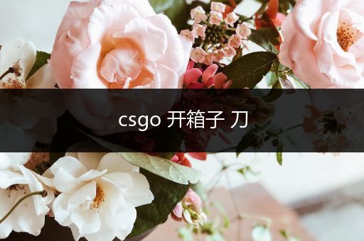 csgo 开箱子 刀