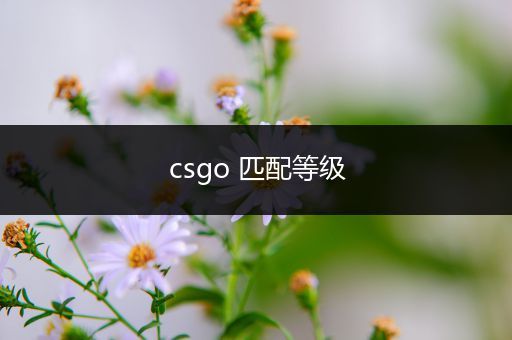 csgo 匹配等级