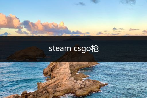 steam csgo枪