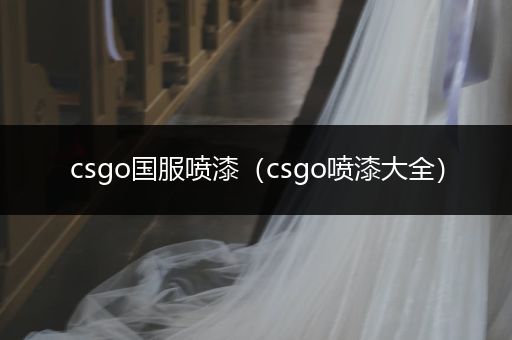 csgo国服喷漆（csgo喷漆大全）