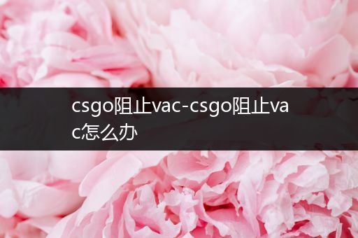 csgo阻止vac-csgo阻止vac怎么办