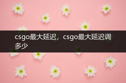 csgo最大延迟，csgo最大延迟调多少