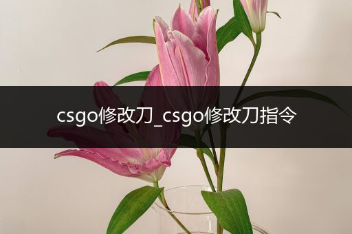 csgo修改刀_csgo修改刀指令