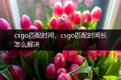 csgo匹配时间，csgo匹配时间长怎么解决