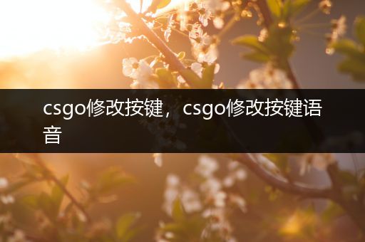 csgo修改按键，csgo修改按键语音