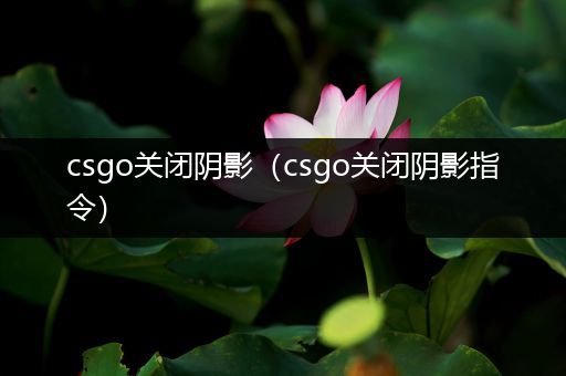 csgo关闭阴影（csgo关闭阴影指令）