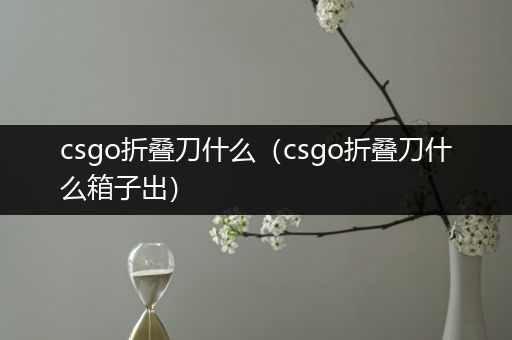 csgo折叠刀什么（csgo折叠刀什么箱子出）