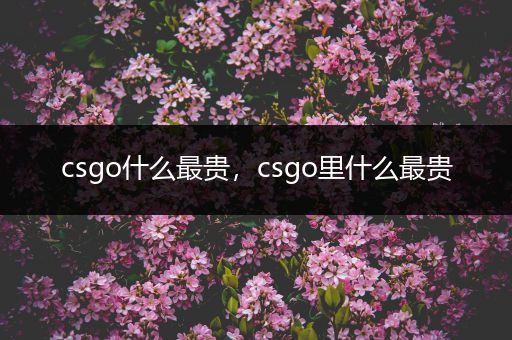 csgo什么最贵，csgo里什么最贵