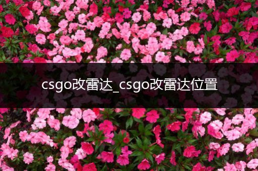 csgo改雷达_csgo改雷达位置