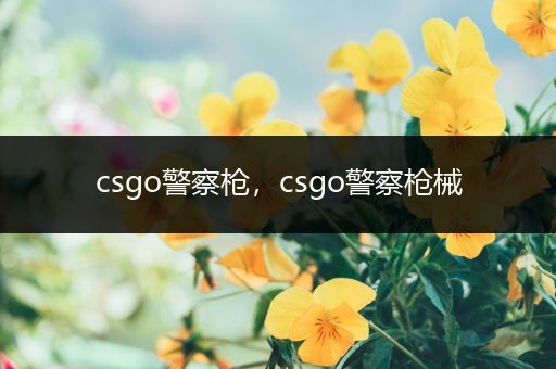 csgo警察枪，csgo警察枪械