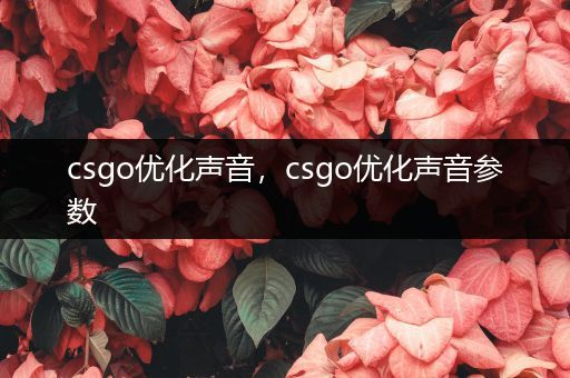 csgo优化声音，csgo优化声音参数