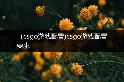 （csgo游戏配置)csgo游戏配置要求