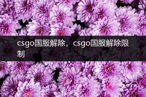 csgo国服解除，csgo国服解除限制