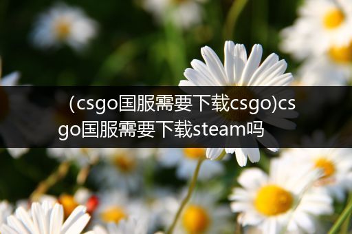 （csgo国服需要下载csgo)csgo国服需要下载steam吗