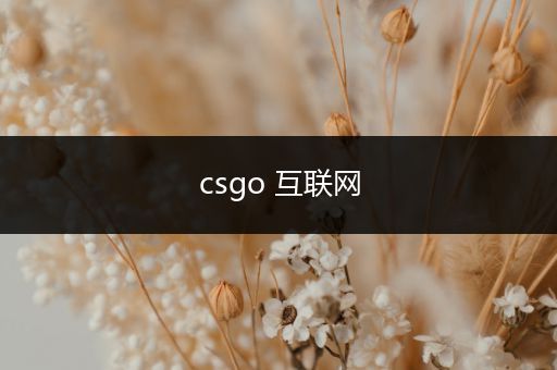 csgo 互联网