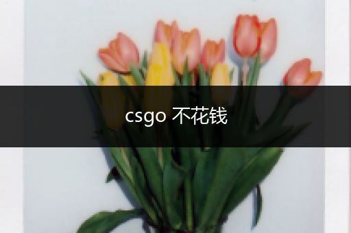 csgo 不花钱