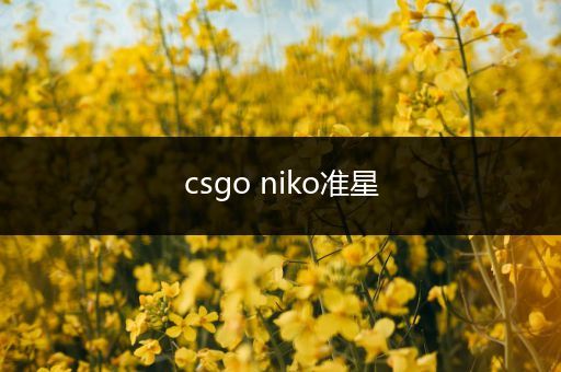 csgo niko准星