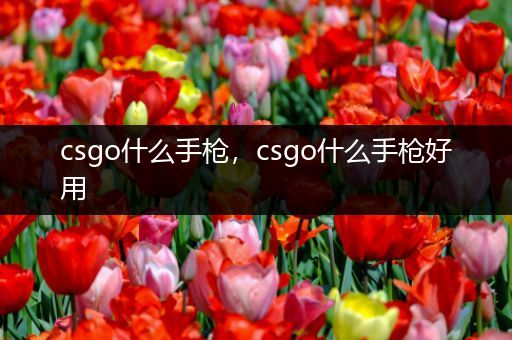 csgo什么手枪，csgo什么手枪好用