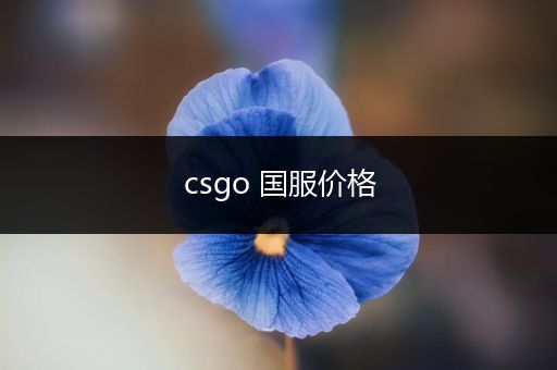 csgo 国服价格