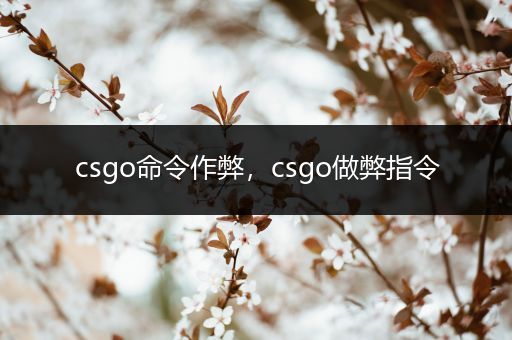 csgo命令作弊，csgo做弊指令