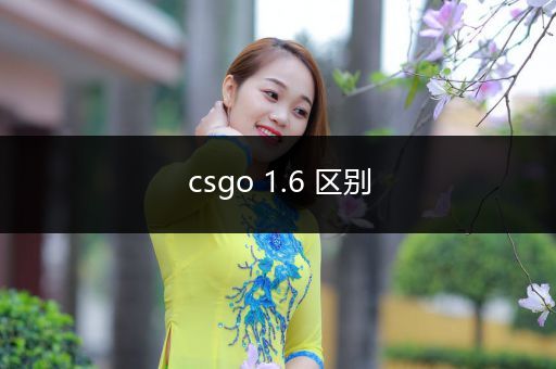 csgo 1.6 区别