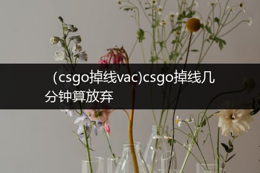 （csgo掉线vac)csgo掉线几分钟算放弃