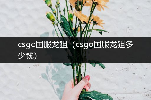 csgo国服龙狙（csgo国服龙狙多少钱）