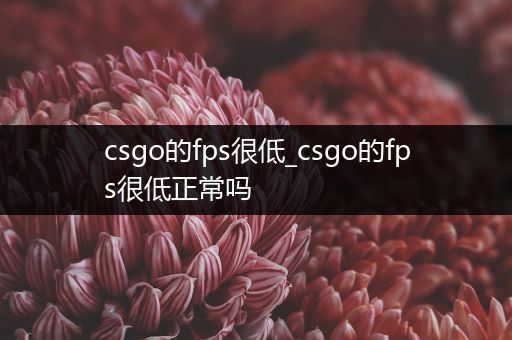 csgo的fps很低_csgo的fps很低正常吗