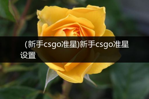 （新手csgo准星)新手csgo准星设置