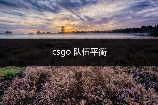 csgo 队伍平衡