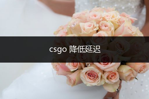 csgo 降低延迟