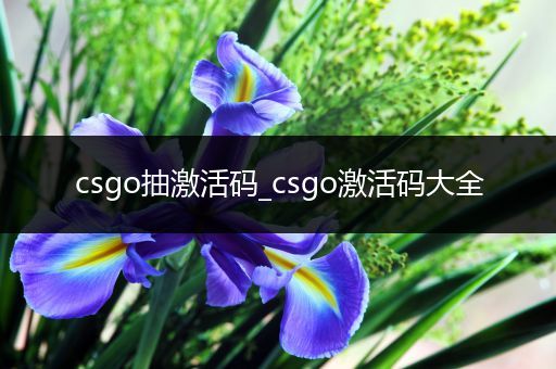 csgo抽激活码_csgo激活码大全